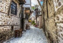 A Strong Education System in Serbia